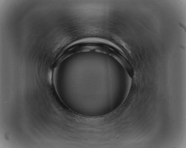 X0000091900027200709051411