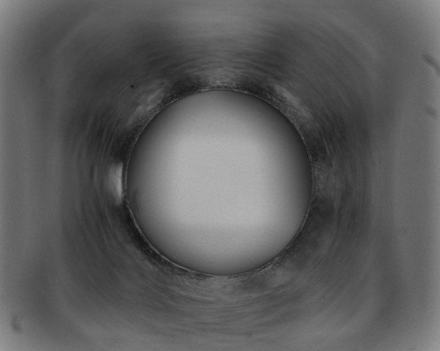 X0000091900028200709051411