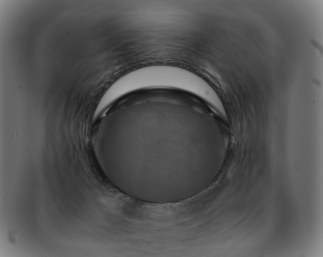 X0000091900029200709051411