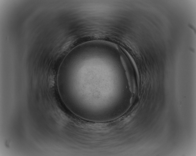 X0000091900032200709051411