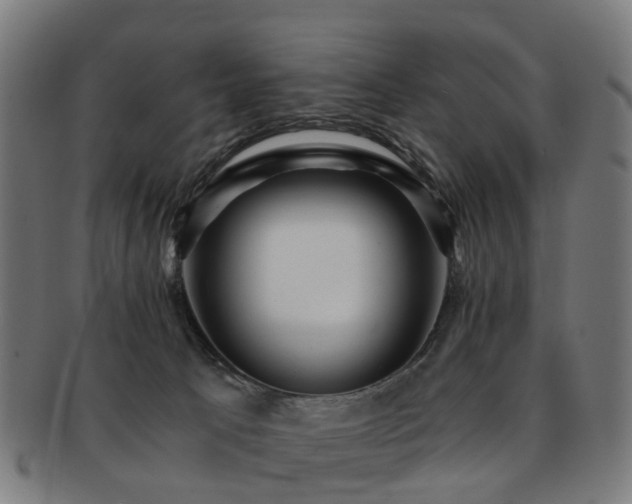 X0000091900033200709051411