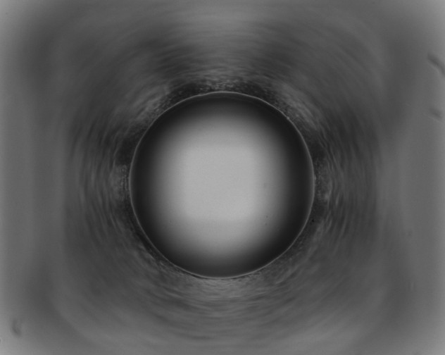 X0000091900034200709051411