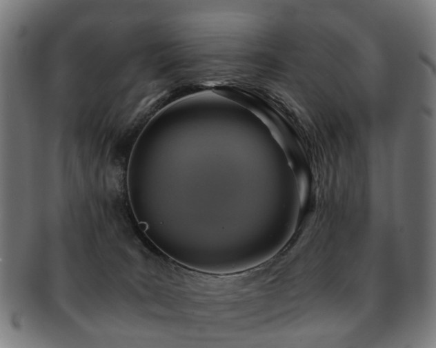 X0000091900035200709051411