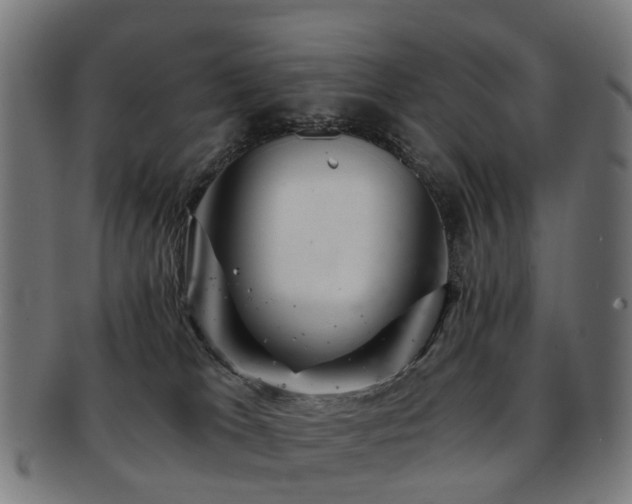 X0000091900037200709051411