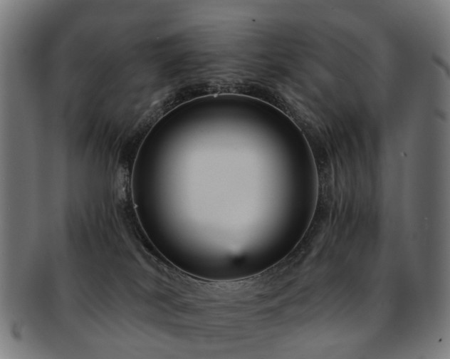 X0000091900038200709051411