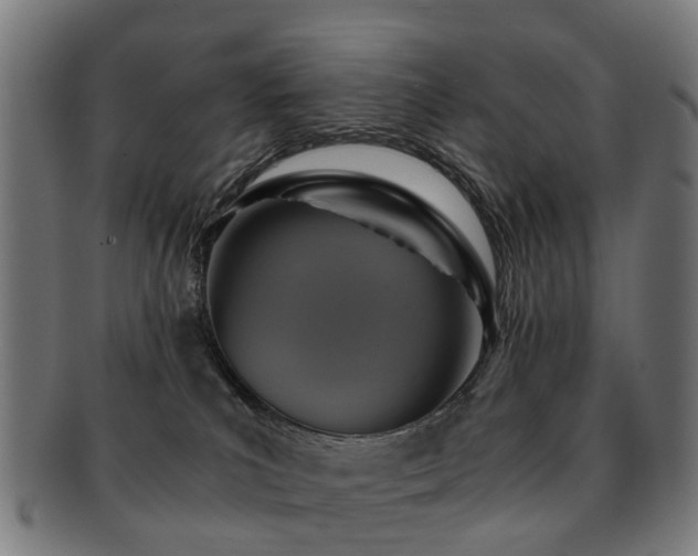 X0000091900039200709051411