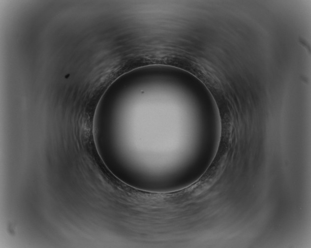 X0000091900040200709051411