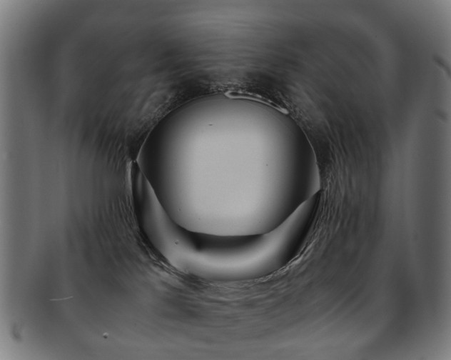 X0000091900041200709051411