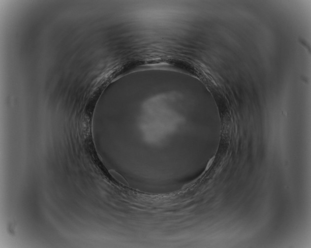 X0000091900043200709051411