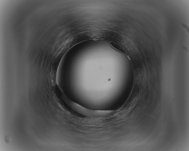 X0000091900044200709051411