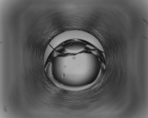 X0000091900045200709051411