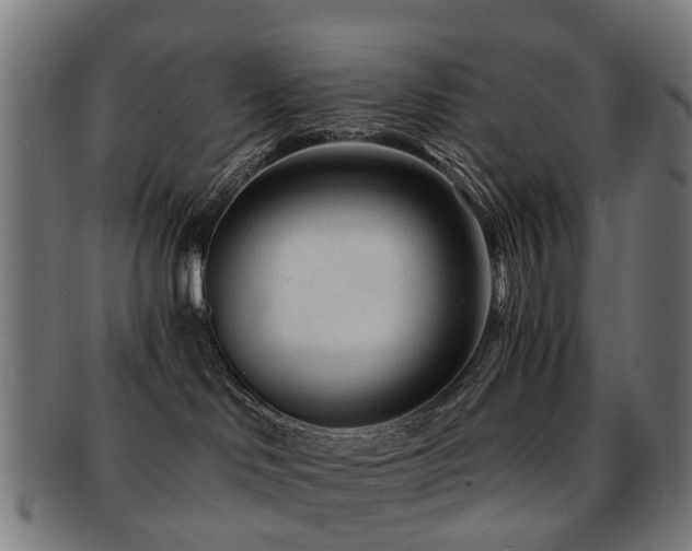 X0000091900046200709051411