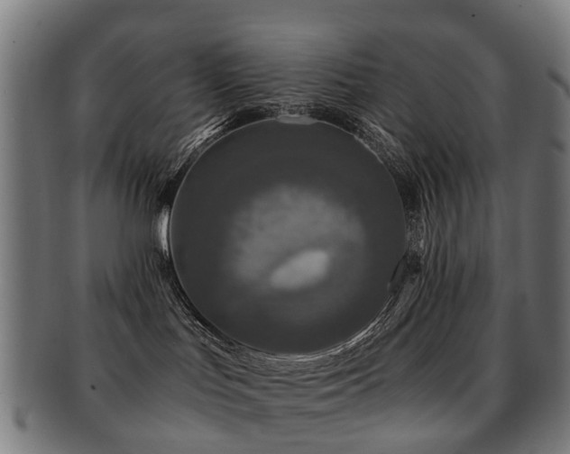 X0000091900047200709051411