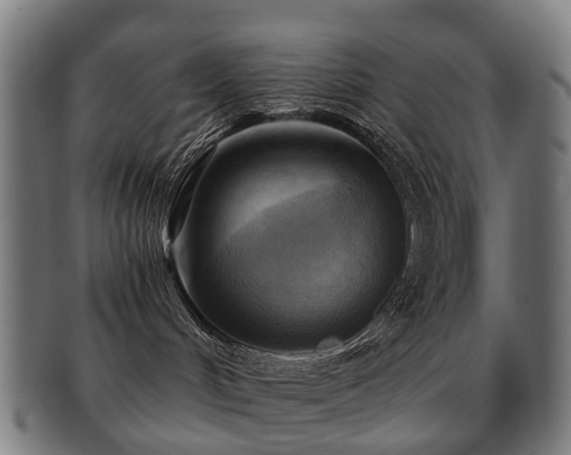 X0000091900048200709051411