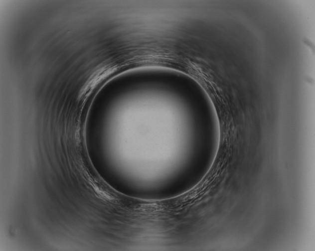 X0000091900050200709051410