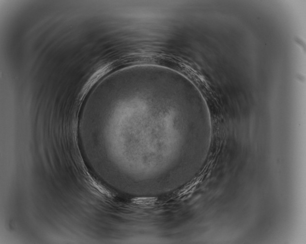 X0000091900051200709051410