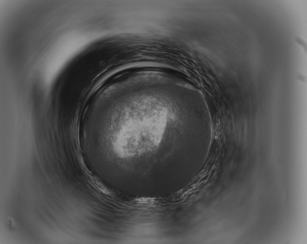 X0000091900052200709051410