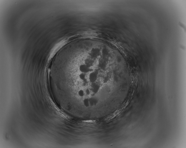 X0000091900053200709051410