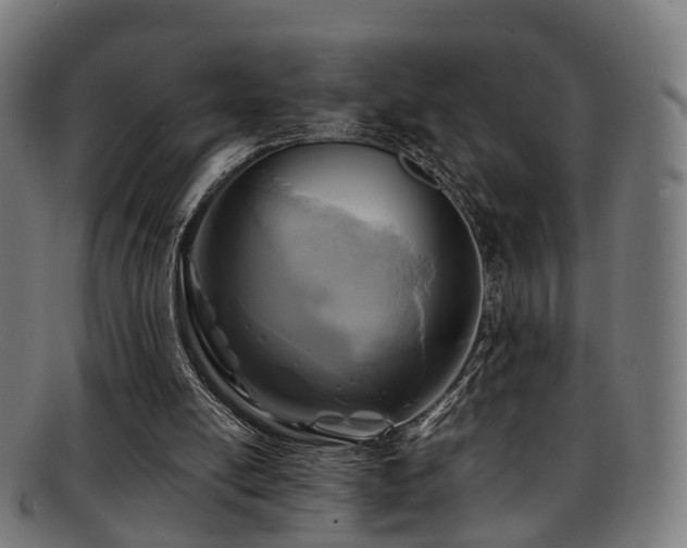 X0000091900054200709051410