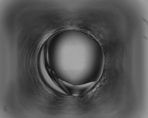 X0000091900055200709051410