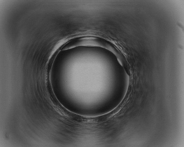 X0000091900056200709051410