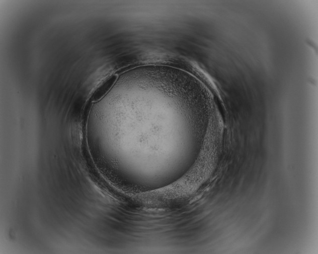 X0000091900059200709051410