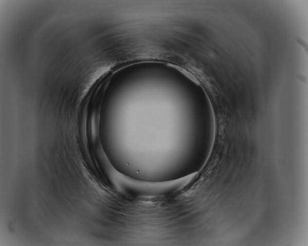 X0000091900060200709051410