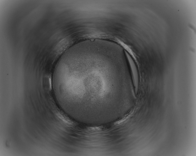 X0000091900061200709051410