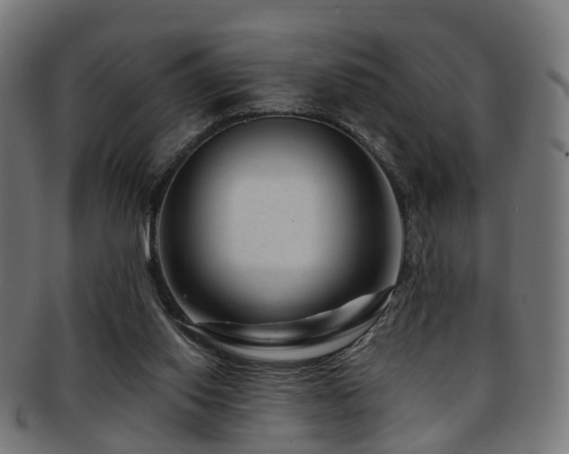 X0000091900062200709051410