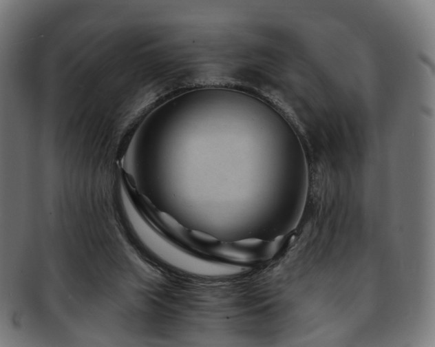 X0000091900063200709051410