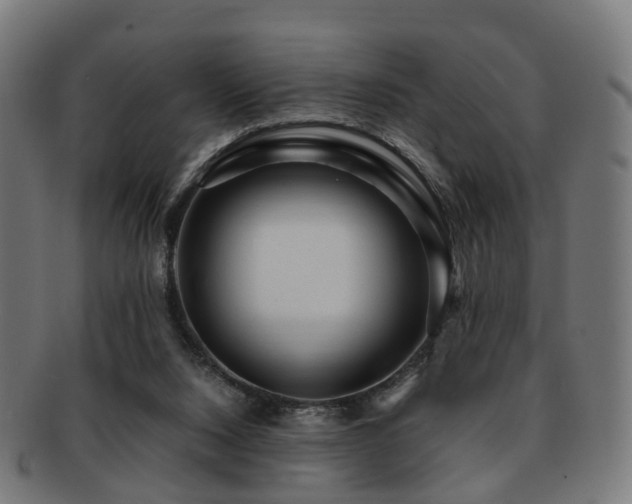 X0000091900064200709051410