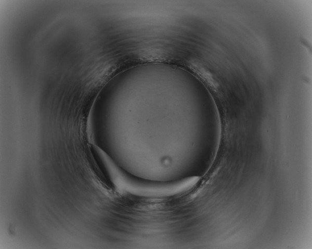 X0000091900065200709051410