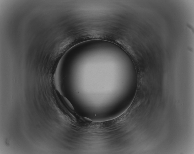 X0000091900066200709051410