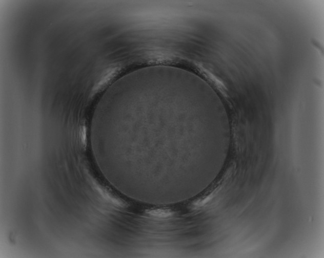 X0000091900067200709051410