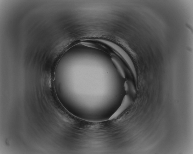 X0000091900068200709051410