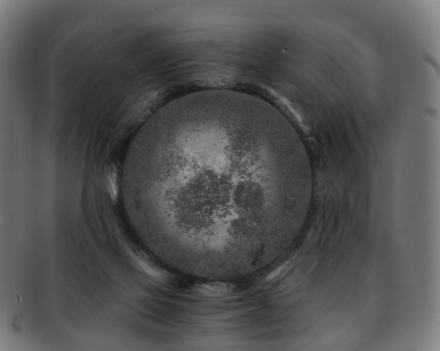 X0000091900069200709051410