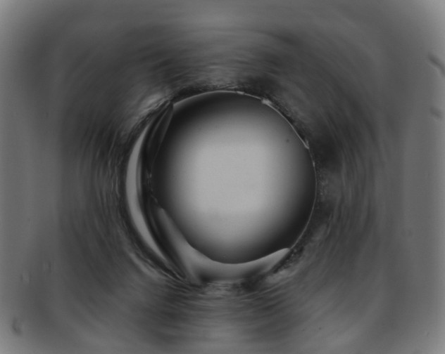 X0000091900072200709051411