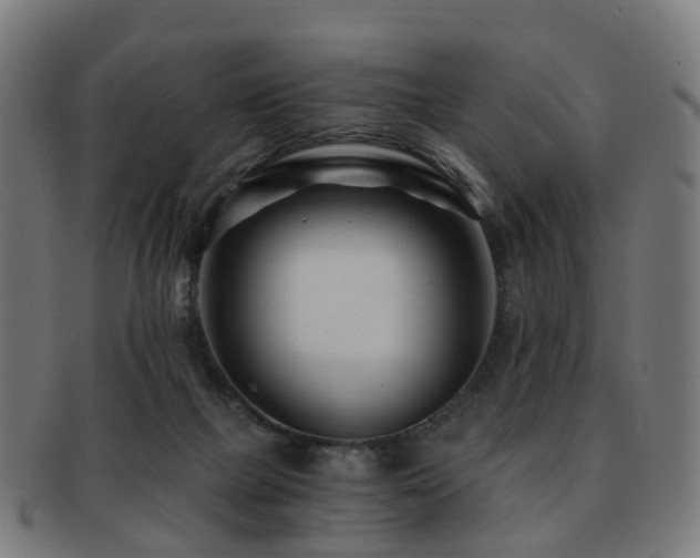 X0000091900073200709051411