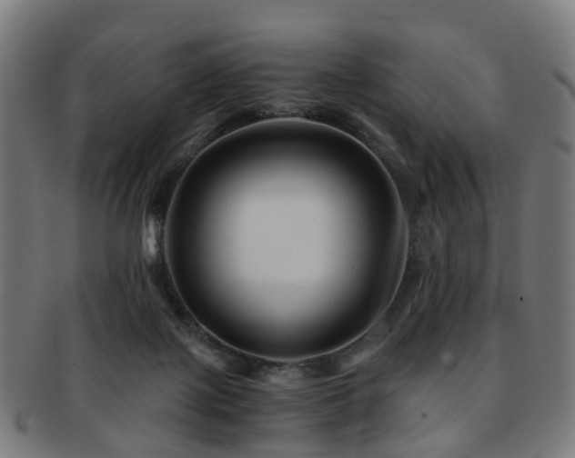 X0000091900075200709051411