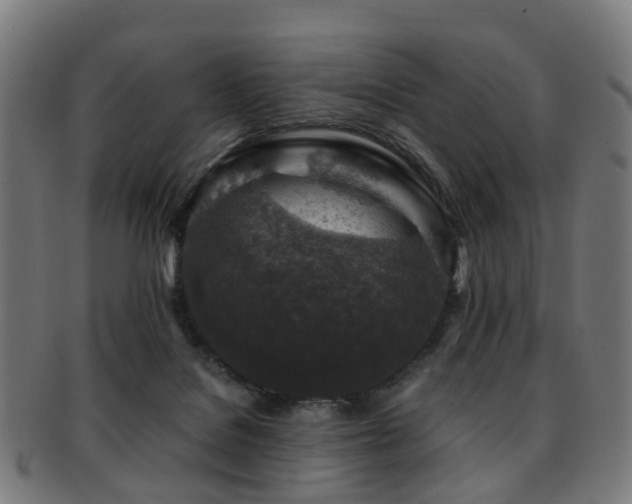 X0000091900076200709051411