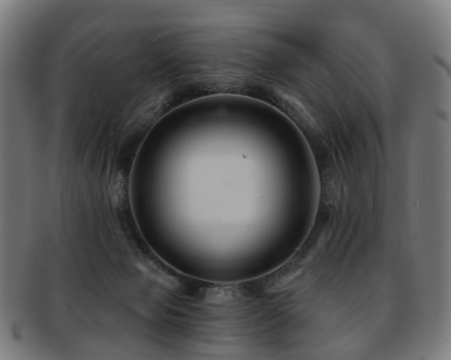 X0000091900077200709051411