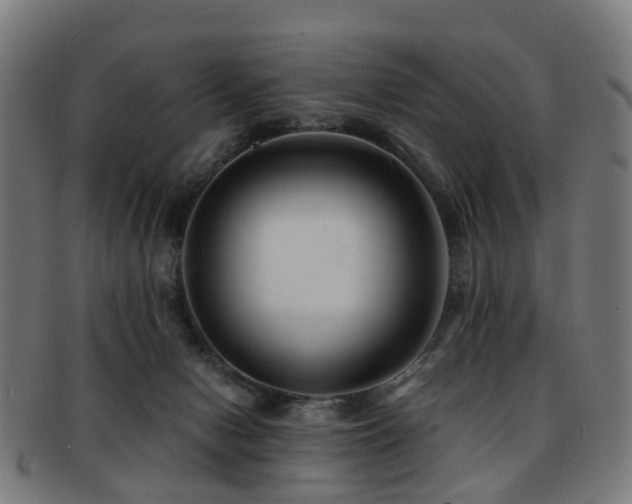 X0000091900078200709051411