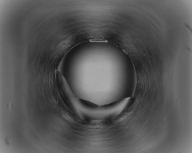 X0000091900080200709051411