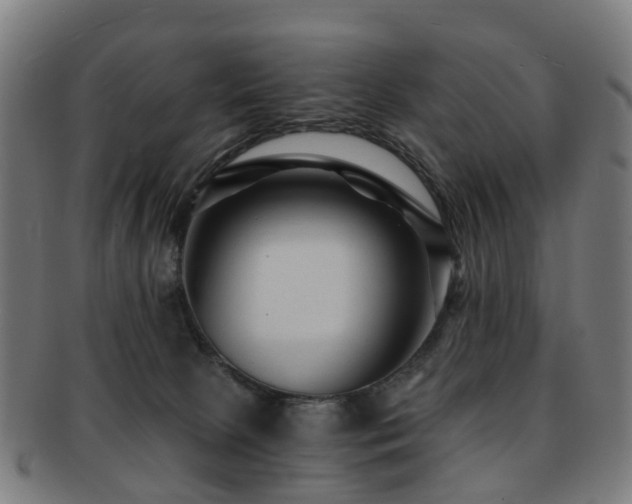 X0000091900081200709051411