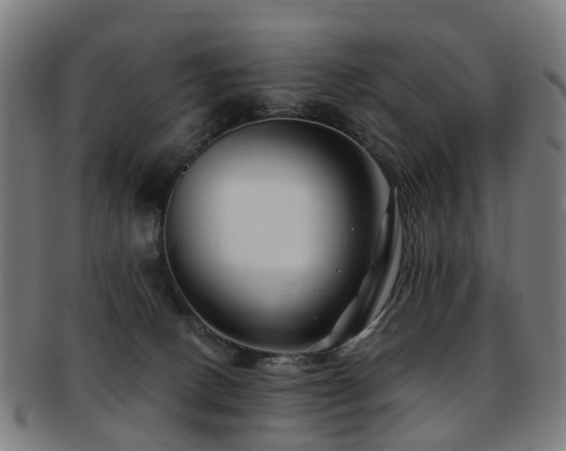 X0000091900082200709051411