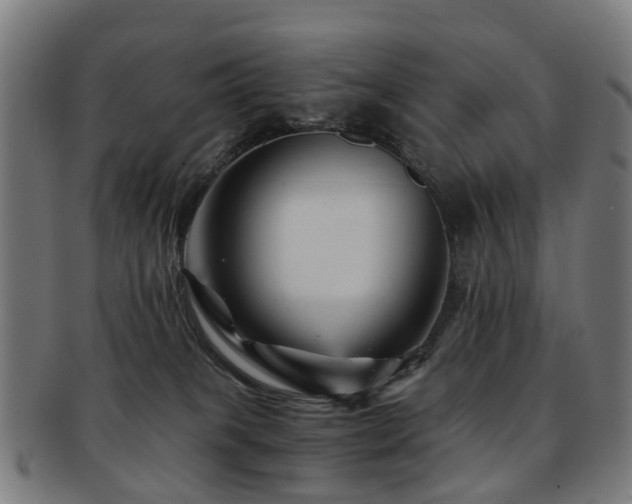 X0000091900085200709051411