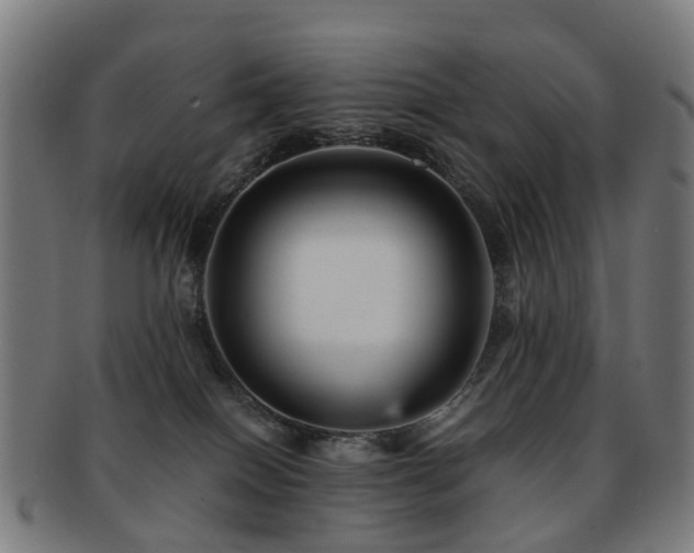 X0000091900086200709051411