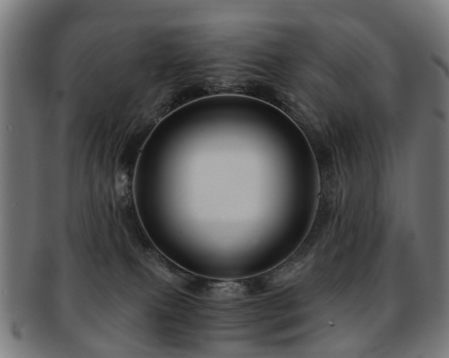 X0000091900087200709051411