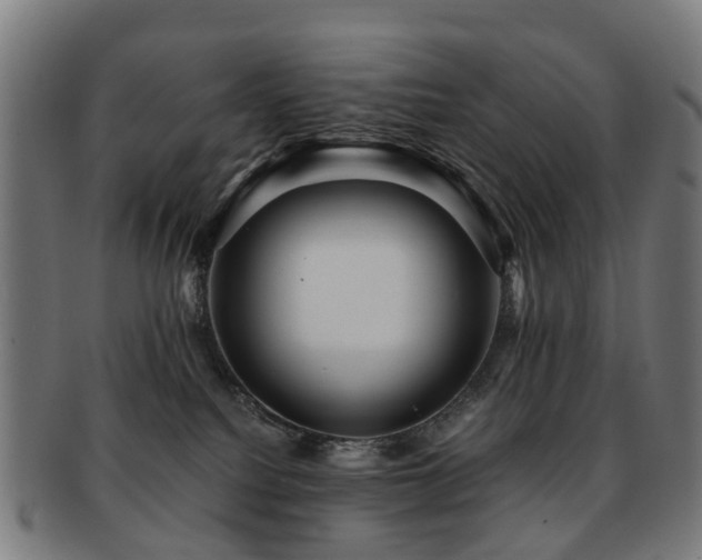 X0000091900088200709051411