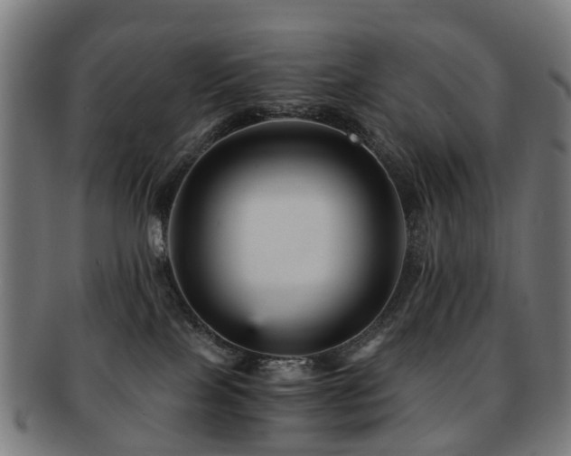 X0000091900089200709051411